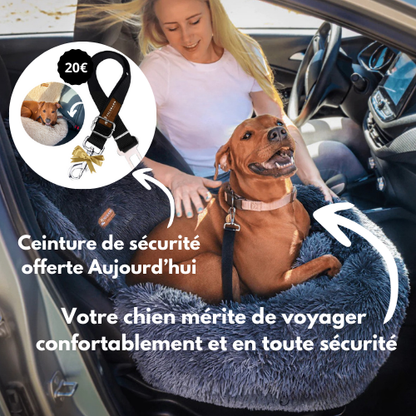 N°1 Des Lit de sécurité pour voiture