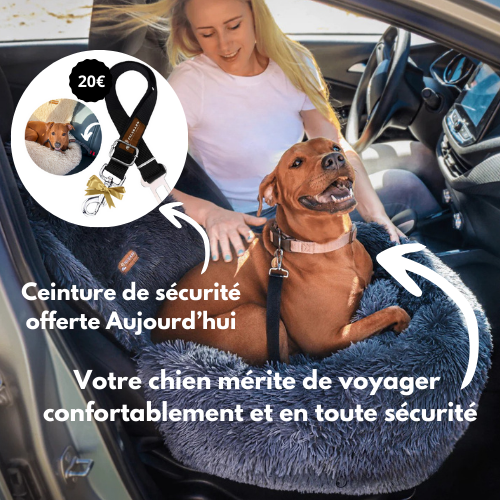 N°1 Des Lit de sécurité pour voiture